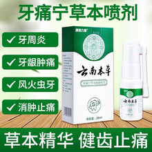 云南本草牙疼药牙痛宁牙疼喷雾牙痛喷剂牙龈肿痛消炎药草本抑菌喷剂牙止镇痛智齿发炎成人儿童蛀牙 3盒