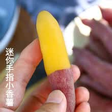 梓乐果 红薯新鲜5斤临安正宗天目山小香薯紫薯蜜薯农家自种番薯山芋地瓜 2斤 小果