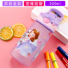 迪士尼 儿童水杯吸管式家用夏季男孩女童防摔幼儿园宝宝杯子3-6岁4 苏菲亚500ML磨砂吸管水壶