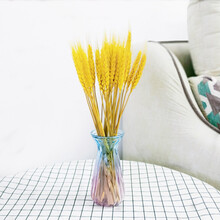 大麦穗花束 天然麦穗干花花束开业大麦田园装饰摆件拍摄道具寓意大卖真花 绿色 小瓶款