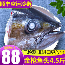渔人百味金枪鱼新鲜金枪生鲜鱼整条16-100斤金枪鱼头鱼脖子下巴鱼眼南方蓝旗大目刺身海鲜冷冻黄旗 金枪鱼头1.5-2.5kg