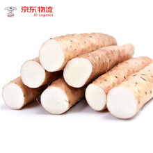 新鲜铁棍山药5斤装当季蔬菜小白嘴垆土紫色淮山药麻山药片