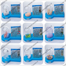 亚克力半圆形12种类常见禁毒仿真毒品模型 禁毒模型 青少年禁毒基地教育宣传 60种类可选 20种亚克力