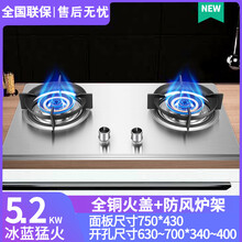 日本樱花煤气灶家用双灶嵌入式燃气灶天然气灶具液化气台式猛火炉 5.2KW双头铜盖加厚不锈钢大面板 750*430 天然气