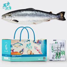 核酸已通过 华润 五丰渔市 挪威三文鱼刺身鱼段 进口冰鲜深海大西洋鲑整条切块 冰鲜挪威三文鱼整条5-6kg（杀好切段）