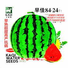 卡其早佳8424西瓜种子早熟超甜高产抗病农家春秋播种精选西瓜种 卡其早佳8424原装50粒x5袋