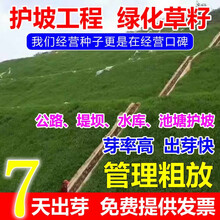 草坪种子四季青草籽狗牙根黑麦草高羊茅庭院耐寒耐旱耐践踏护坡草籽 玮艺 护坡草籽护山坡固土复绿