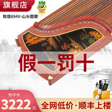 敦煌古筝琴696D双鹤朝阳初学者专业考级乐器689/694上海民族乐器一厂 694V山水图案（全套礼包）