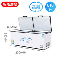 商用冷柜冰柜超大容量卧式节能冷冻冷藏单温冻肉家用冷柜 818单温2000×800×830mm