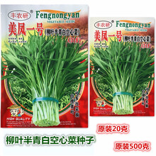 揭美青梗柳叶空心菜种子 青骨尖叶型通心菜雍菜籽 阳台盆栽田园易种空心菜蔬菜种子 美凤一号柳叶半青白空心菜 原装20克