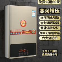 燃气热水器煤气液化气天然气电即热恒温强排式12升变频家用标努 12升金色+自带增压+免水压启【上门安装】 天然气