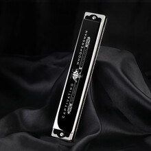 天鹅SWAN口琴 24孔复音 日本进口音簧 高级成人专业演奏口琴C调（黑色）