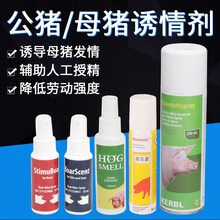 耐尔尼 母猪诱情剂猪用诱情喷雾兽用促情剂公猪气味剂母猪发情剂 35ML母猪用