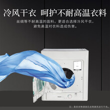 松下（Panasonic) 烘干机2公斤恒温家用滚筒干衣机NH45-19T速干免熨烫NH-202GT NH45-19T