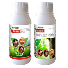 滨农科技 500ml+500ml滨农搭档 护绿 蛀干害虫 天牛吉丁虫木蠹蛾幼虫杀虫剂10套