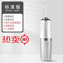 家用电动冲牙器便携式智能洗牙器牙结石牙线牙垢口腔清洁牙齿神器 象牙白 基础款-1喷头/1种模式