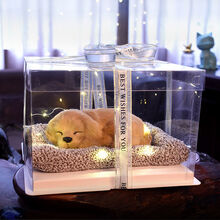 生日礼物送女生闺蜜少女心520情人节送女友朋友姐妹实用ins浪漫创意 大拉布拉多礼盒27*27*18cm