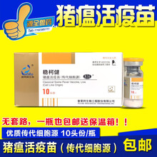 猪用疫苗 圆环副猪嗜血杆菌二联 柯喘宁支原体 稳柯健普莱柯  西蜀农大 稳柯健猪瘟10头份1瓶价