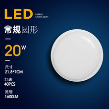 户外壁灯防水阳台楼梯走廊过道led吸顶厕所卫生间浴室卧室墙壁灯 常规圆形大号-20W白光