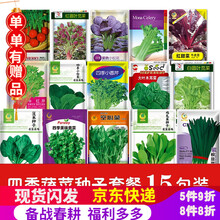 凤鸣雅世 蔬菜种子菠菜种子油菜种子韭菜种子萝卜种子小白菜种子秋葵种子油菜种子 随机蔬菜种子 随机蔬菜种子一包 赠品默认