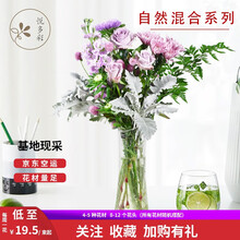 【悦多彩】鲜花速递 包月鲜花 自然混搭系列花束混合款每周一花  居家生活 办公室小花束 自然混合系列（4-5种花材，8-12个花朵） 单次体验1束（48小时内发货  购买多份1次发出）