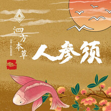 中药饮片  精品人参须  1g中药饮片在线抓药中药抓中药拍方抓药  人参须