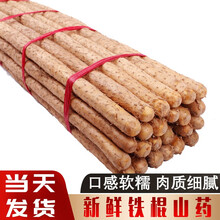 【当天发货】新鲜铁棍山药2斤5斤10斤装当季蔬菜小白嘴垆土紫色淮山药麻山药片 当天发货 精选 5斤（质量靠谱）