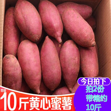 现挖新鲜板栗红薯沙地红蜜薯农家自种红薯山芋番薯地瓜带箱5斤 9斤装小果