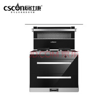 厨仕康--D1--厨仕康高端智能厨房电器-厨仕康厨电