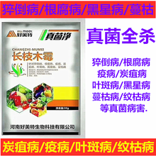 炭疽病猝倒病根腐疫病水稻纹枯病蔬菜果树长枝木霉叶斑蔓枯黑星病 30克x3袋