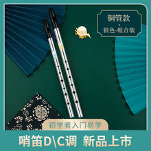 DBAO 爱尔兰哨笛 初学者入门金属哨笛 6孔C调D调高音金属直笛竖笛 电镀银组合