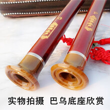 巴乌 初学乐器专卖竖吹仿红木巴乌初学可拆卸树脂胶木巴乌G调F调 G调巴乌+学习资料