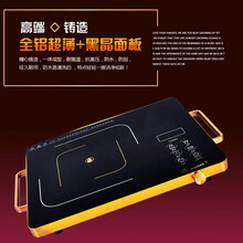 FEDAIR家用电陶炉大功率光波炉多功能爆炒烧烤节能煮茶 3000W款