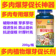 多肉老桩爆芽素神器叶插激活细胞分裂素侧芽肥胖素催芽法师扦插 200克*（送量杯1套）
