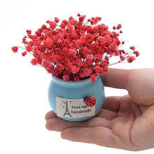 迷你永生花满天星干花小花瓶家居课桌车载盆栽摆件情人节生日礼物 红色