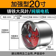 工业排气扇 壁式换气扇 厨房油烟排风扇 强力抽风机 工业排风扇 厨房排风扇雷宝龙 20寸加强型 铸铁大风叶
