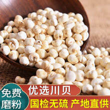 达参堂川贝母四川贝母粉川贝粉非熏硫中药材无熏硫 可做枇杷贝母雪梨汤 可磨川贝粉 川贝母50g