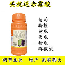 座瓜灵0.1%氯吡脲坐果药黄瓜瓜类专用点花授粉药座果膨大素 100ml