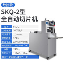 艾士奇（AISHIQI）羊肉切片机商用 全自动切肉机切片冻肉肥牛羊肉卷刨肉机 数控款SKQ-2型全自动