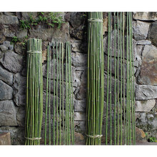 菜架竹竿小竹子细竹竿旗杆菜园豆角搭架菜架竹竿爬藤牵引搭架长1米2米3米虎雀 (瑕疵款)粗0.8-1.1厘米 长1米 20根