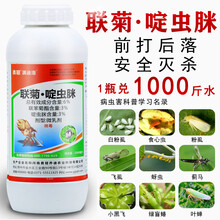 联菊啶虫脒白粉虱蓟马蚜虫专用药灭花盆小黑飞蔬菜果树农药杀虫剂 60ml