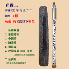 杉贝 SHANBEI 巴乌胶木竖吹仿红木巴乌调降调调调小学生初学入门乐器抖音同款 套餐二:竖吹仿青花F调巴乌+皮盒