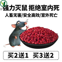 姒桀老鼠药高毒颗粒耗子药高效强力药一窝端家用驱鼠剂灭鼠药 500g装家庭装 买2送1 买3送2