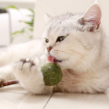 派优比 猫薄荷棒棒糖逗猫棒猫薄荷球猫玩具猫磨牙棒小猫猫咪用品猫薄荷糖猫咪零食