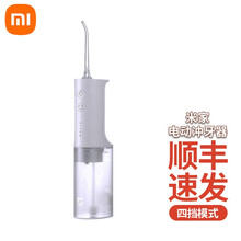 小米冲牙器米家电动洗牙器便携式牙齿结石水牙线家用口腔清洁 米家电动冲牙器【顺丰】