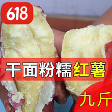 洪洞红薯干面甜红皮黄白心粉面山芋板栗番薯红苕新鲜现挖五斤九斤G 五斤干面红薯(8两以上大果)