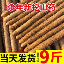 小白嘴白山药铁棍山药新鲜蔬菜铁杆淮山药5斤 胜河南焦作温县垆土 小白嘴山药  40-50五斤【实惠】