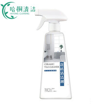 瓷砖清洁剂去污家用洁瓷剂草酸擦地砖清洁地板卫生间厨房地面 1瓶 试用装【无赠品】