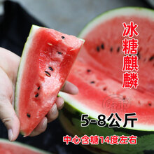 黎昕  羊角蜜甜瓜种籽苗羊角脆香瓜甜瓜种子孑香甜高产春季四季阳台农家 冰糖麒麟西瓜30粒