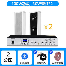 笛友户外防水音柱校园公共广播系统商场店铺室外壁挂音响喇叭功放套餐室内宣传背景音箱 100W功放+2个30W音柱+10米音箱线